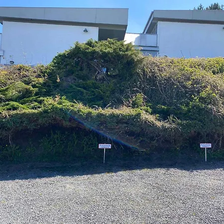 Lovely Summer House In Allinge-sandvig * Sandkås